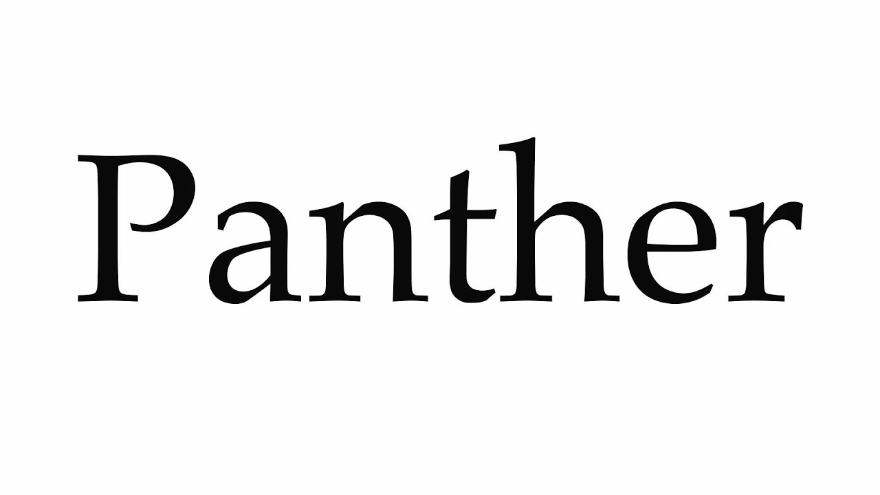 How to Pronounce Panther - YouTube