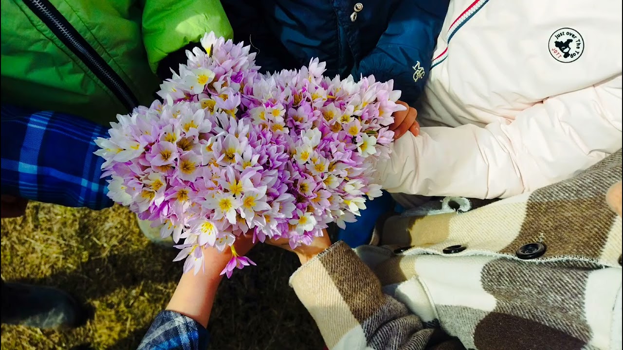 Իմ գյուղի պատմությունը՝ Սարագյուղ