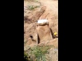 مافيا رمال واد ملوية يعودون من جديد