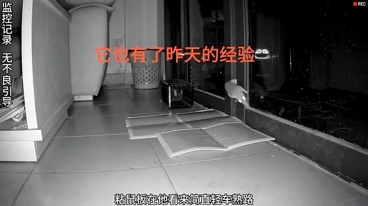 你看過嗎?老鼠會跳過陷阱(黏鼠板)