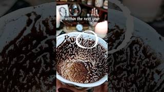 Download Lagu Your Next Year's Predictions ✨ Coffee Grounds Reading #coffeereading #tarot #psychictarot MP3 Download Lagu Your Next Year's Predictions ✨ Coffee Grounds Reading #coffeereading #tarot #psychictarot MP3