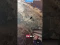 #vidanarroça dentro da cisterna para quem nunca viu