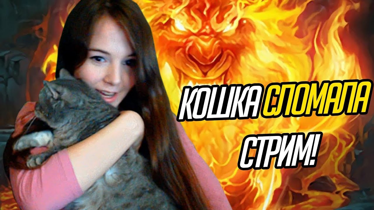 Алекс форд стрим