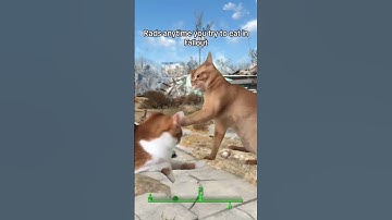 Just trying to enjoy my blamco mac n cheese #fallout #memes #shorts #falloutmemes