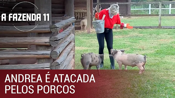 Andrea Nbrega  atacada pelos porcos | A Fazenda