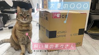 視聴者さんからお母さん以上の〇〇〇を頂きました