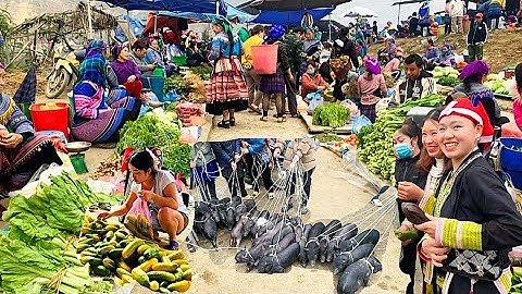 Chợ Phiên Biên Giới SiN CHÉNG Si Ma Cai , Chợ Phiên Mộc Mạc Nhất Tây Bắc ,