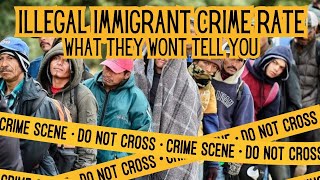 Illegal Immigrant Crime Rate - What They Wont Tell You by Bushcraft Family 150 views 2 weeks ago 20 minutes