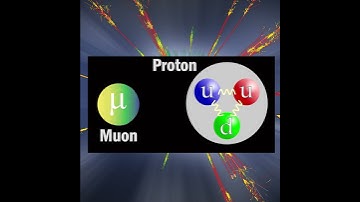 Physicists Want A Muon Collider!