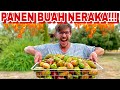 PANEN BUAH NERAKA DI EROPA!