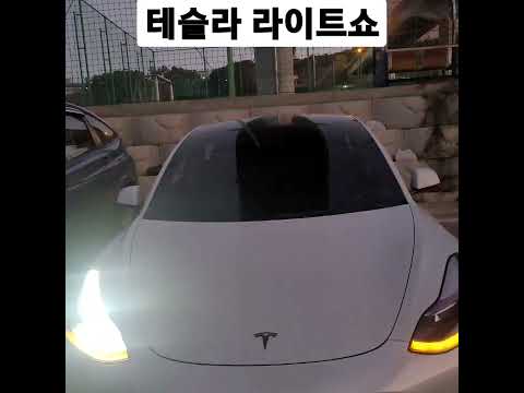 #테슬라라이트쇼 #shorts
