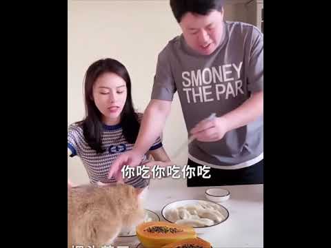 Китайский юмор.Короткий Тик Ток прикол.Смешное видео.Чудики из TIK TOK.#Shorts