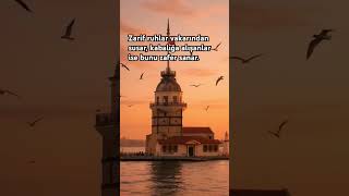 Zarif Ruhlar Vakarından Susar, Kabalığa Alışanlar Ise Bunu Zafer Sanar. Şfet
