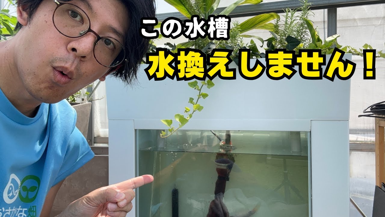 #8【手間いらず】水替えしない水槽のしくみとは?