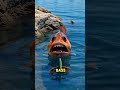 Fishing Hacks You Need to Know Canada Edition!! 😱 #freshwaterfishing #oceanfishing #canadafishing