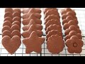 【材料5つだけ！】サックサク♡簡単ココアクッキーの作り方／Cookies Recipe