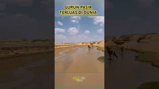 Gurun pasir terluas di dunia#shortvideo #shortsfeed #shortsviral #gurunsahara #faktamenarik