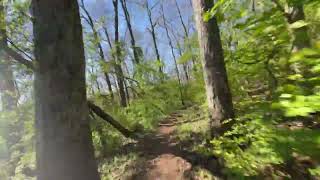 Onewheel gt at Percy Warner