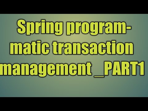 102.Spring programmatic transaction