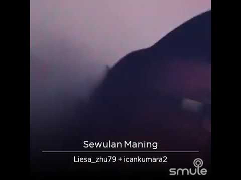 Swulan maning