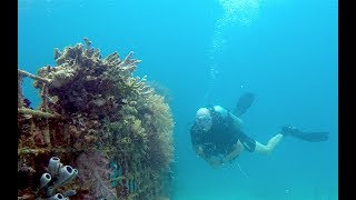 Download Lagu Diving in Pemuteran bay and Menjangan island Bali with Reefseen divers MP3