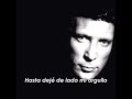 Tom Jones   I'll Never Fall In Love Again Subtitulada Español