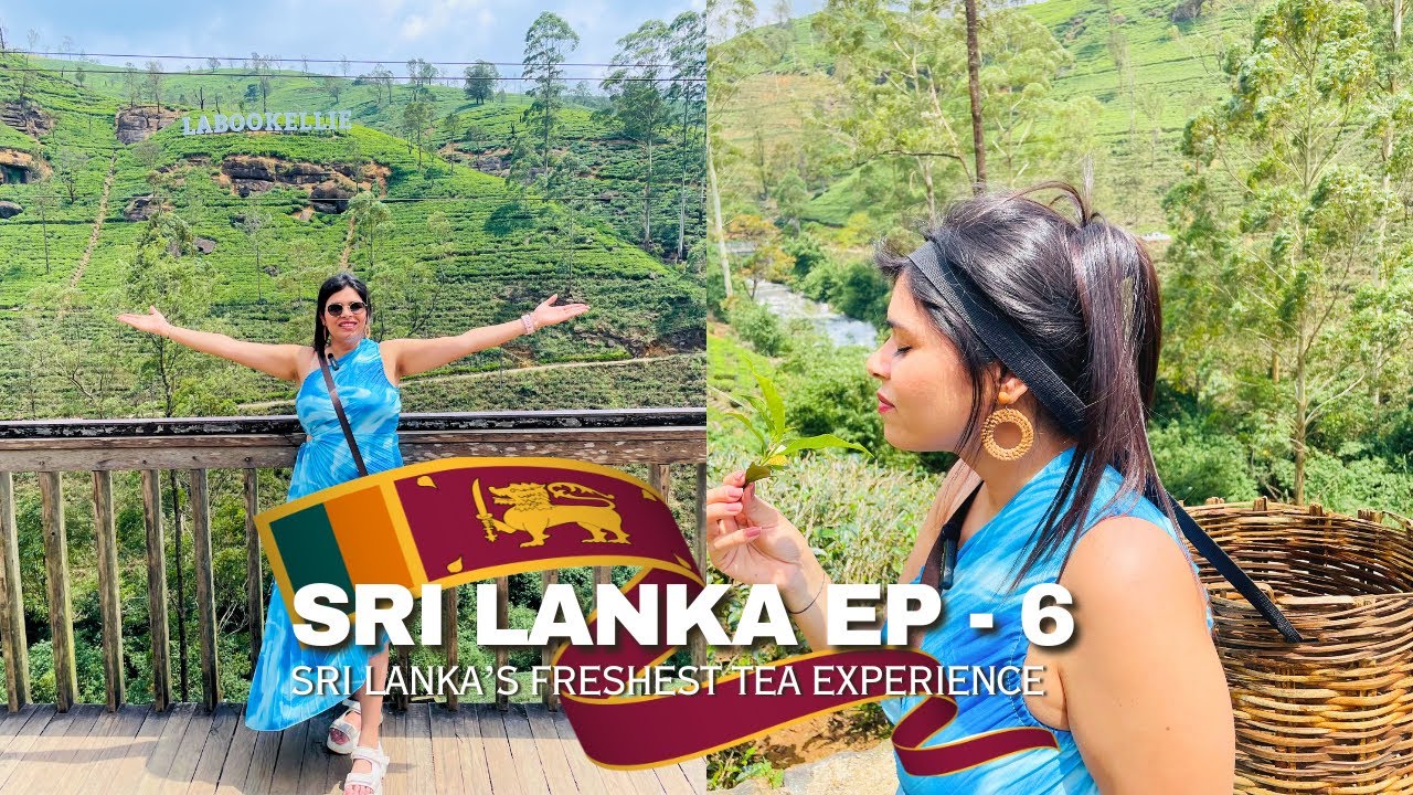 Nuwara Eliya Sri Lanka 🇱🇰 | Labookellie Tea Factory | Luxury Stay at Golden RidgeHotel | Travel Vlog