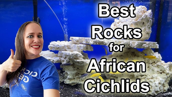 Stop Wasting Money on Aquarium Rocks! Cheapest Way to Buy Rocks for Your  Fish Tank 