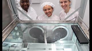 NASA's Apollo Lunar Lab and the Apollo Next Generation Sample Analysis (ANGSA) Core Sample