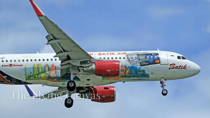 Incredible Airplane Paint Jobs That Will Blow Your Mind!