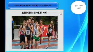 картинка: Дене шынықтыру сабағы. Жеңіл атлетика бөлімі.