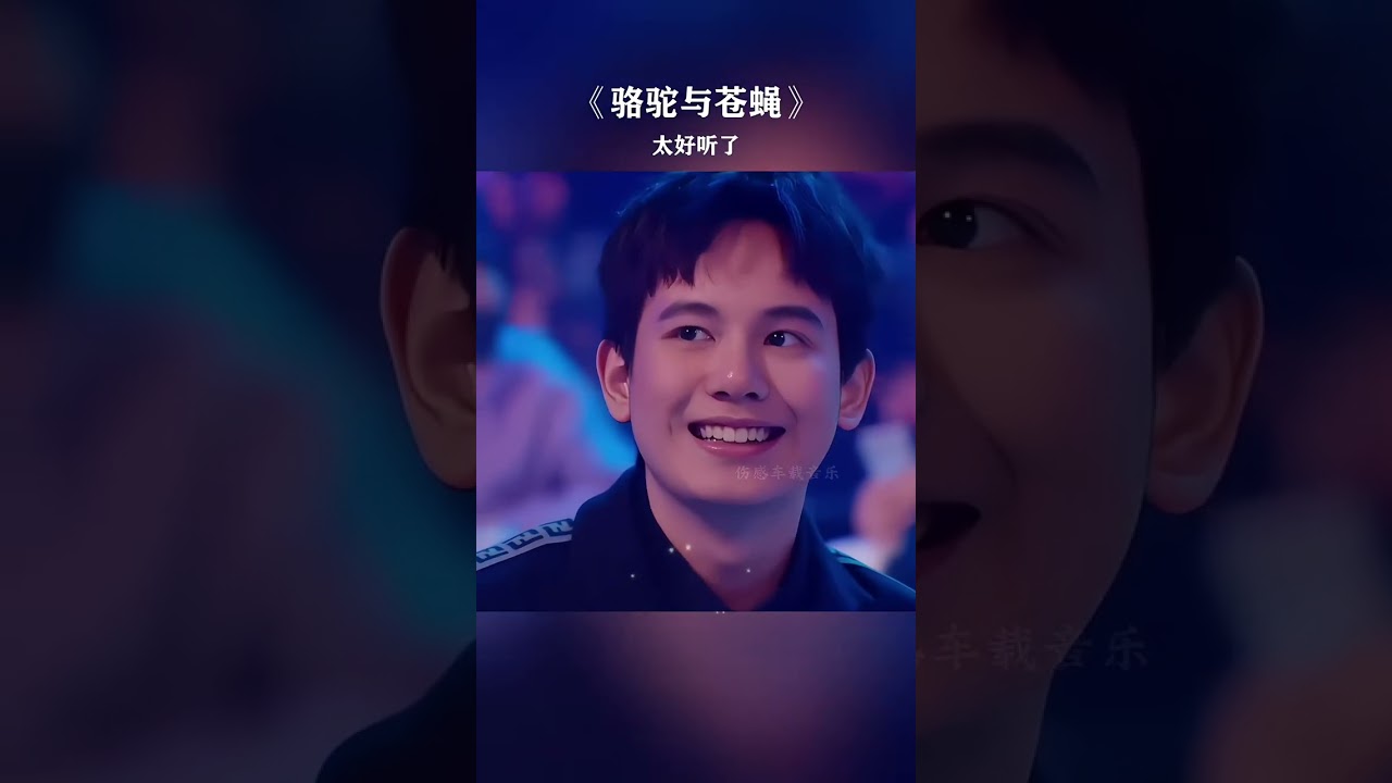 #歌曲骆驼与苍蝇#骆驼与苍蝇 别把自己看得太亮堂，不过是尘埃 沾了身旁，别高估自己的分量，没人把你放在心尖上#歌词句句入心 #好歌分享 #音乐