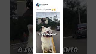 Filmando melhor que eu 😂🤣
