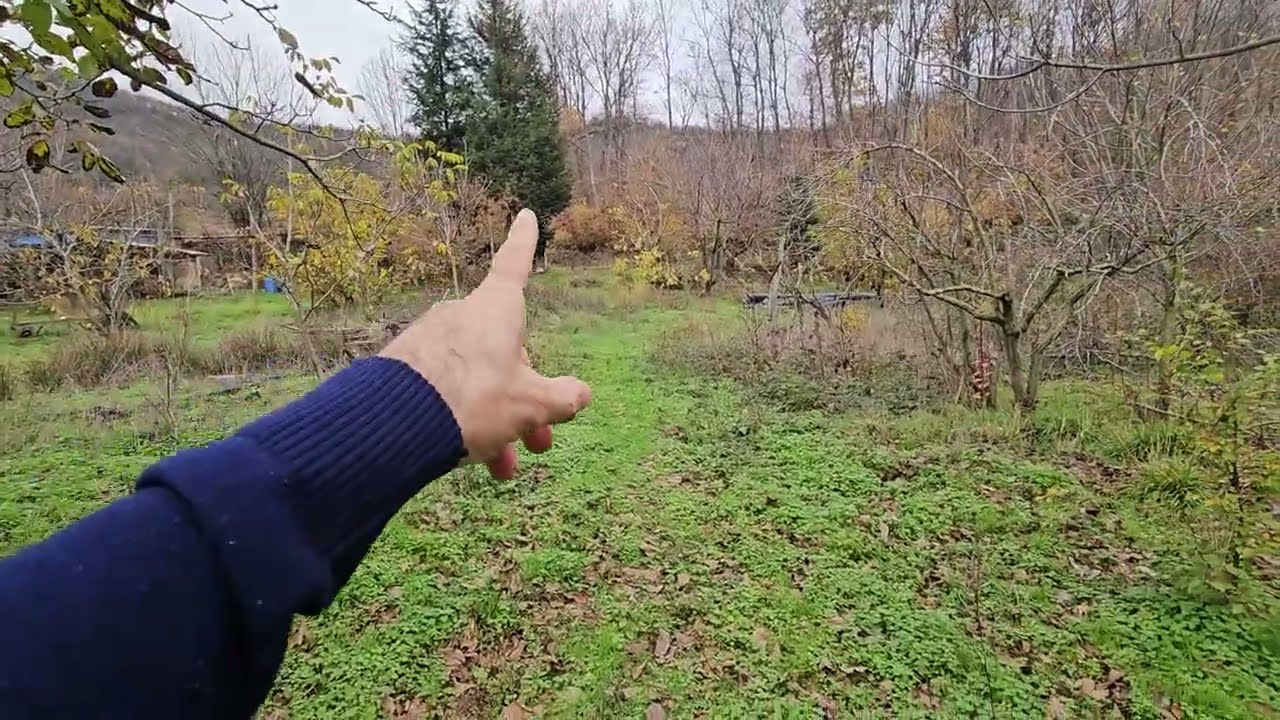 Satılık meyve tarlası 22660 m2