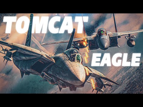 Lose Sight Lose The Fight | F-15 Eagle Vs F-14 Tomcat DOGFIGHT | Digital Combat Simulator | DCS |