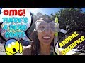 Bali Snorkeling Finding a DEAD GOAT Underwater // Animal Sacrifice