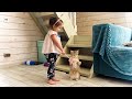 Барханная кошка танцует с ребенком / Алиса и субботник