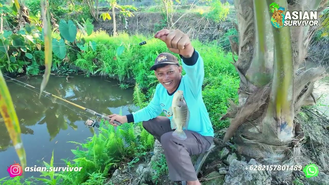 KEHIDUPAN MASYARAKAT TANI PERMUKIMAN TRANSMIGRASI SP6B DESA TANJUNG BUKA, BULUNGAN, KALIMANTAN UTARA