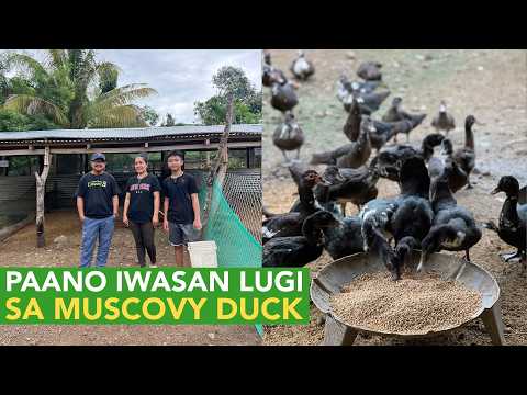 Dating mga Manila Based, Nag Decide mag Probinsiya para mag Business at Farming!