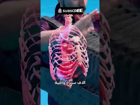 هل يمكن لسترة واقية أن توقف قذيفة مدفعية اكسبلور ترند Shorts 