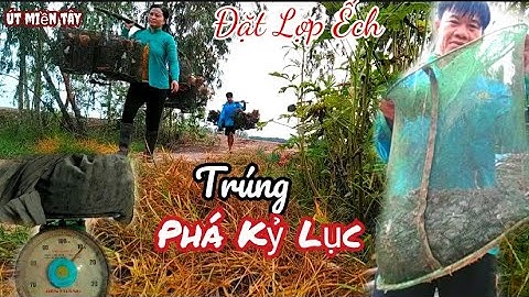 Vợ Chồng Út Miền Tây Đặt Lợp Ếch Trúng Mánh Ở Cánh Đồng Lúa Chét//Út Miền Tây