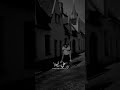 أجمل حالات واتس حب كتبت اسمك على النجمات اكسبلور