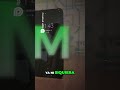 Mondongo jaja