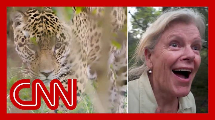 Inside one of the world's most ambitious conservation projects thumbnail