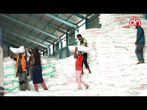 Video: Mbolea Ya Phosphate: Kwa Nini Ni Muhimu?