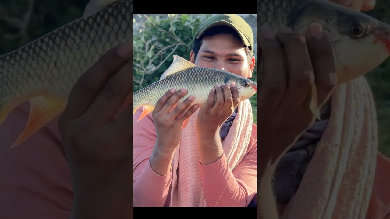 Big fish hunting on dam in Telugu | rohu fishing | fish videos fish. 