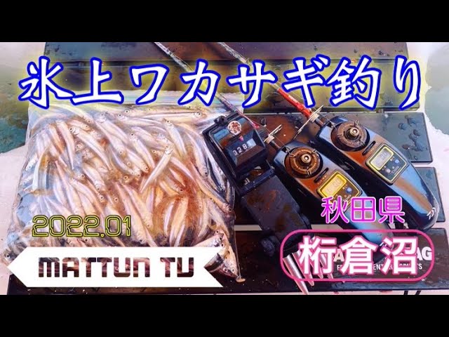ワカサギ ２０２２年初 秋田氷上ワカサギ釣り Youtube