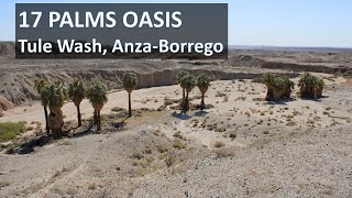 DESERT OASIS: 17 PALMS OASIS & 5 PALMS OASIS, in Tule Wash, Anza-Borrego