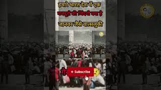 Zindagi ki talash me hum #ytshorts #hindishorts #viralvideo #viral #jhalmuri