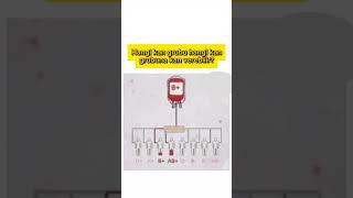 Kanınız Hangi Kan Grubuna Kan Verebiliyor Yada Alabiliyor?